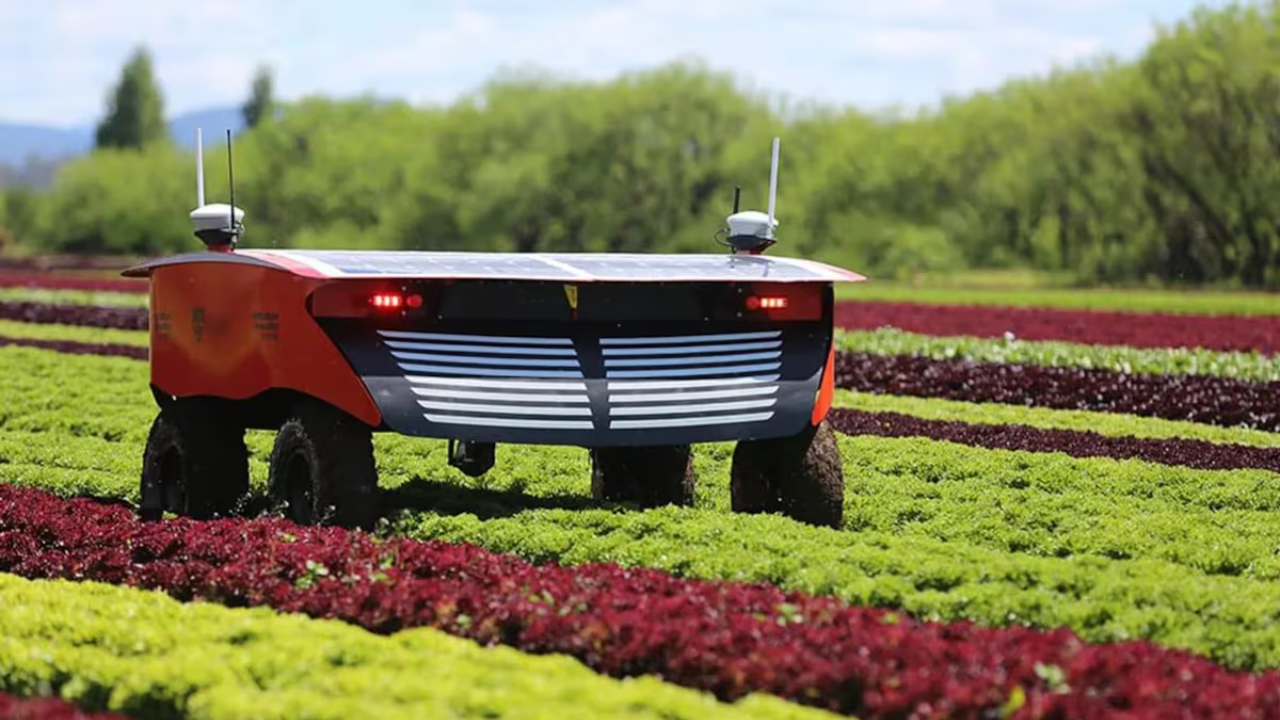 Uruguay: Innovación Agrícola para Afrontar la Triple Crisis Global